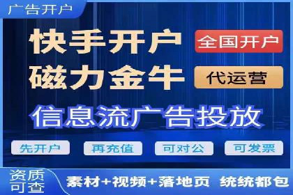 SEM服务在本地化营销中的应用案例
